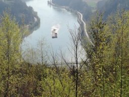 2017 Grein an der Donau (22)